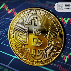 Bitcoin Whale Activity