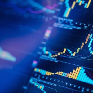 Hayden Davis交易活动分析