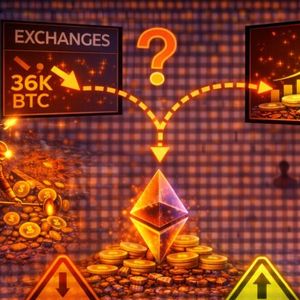 比特币矿工提取BTC图表