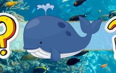 Machi大哥的抛售潮终结了吗？巨鲸在灾难后仅剩100万美元苦苦支撑