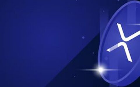 XRP机构关注度超越以太坊，正全力追赶比特币