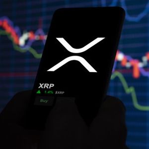 XRP基础设施发展
