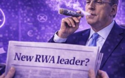 XRP价格预测：XRP正在超越Solana，下一个目标是币安币——现在应该买入吗？