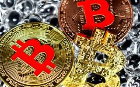 比特币将在2029年前突破50万美元？企业家大胆预测引发市场热议