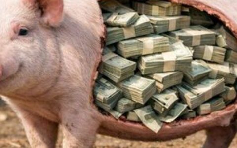 纽约总检察长警告：加密货币’杀猪盘’诈骗激增，受害者损失惨重