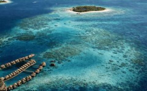 World Liberty Financial与Securitize合作在马尔代夫推出链上房地产代币化计划