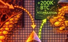 散户恐慌，巨鲸盛宴：尽管抛售压力持续，鲸鱼仍积累20万枚比特币