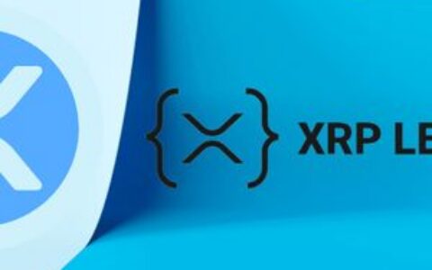 XRPL在XRP DEX上记录首个许可报价，达成重要里程碑