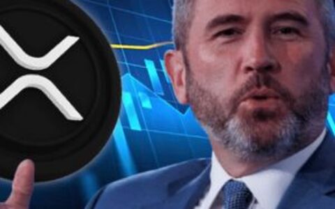 Ripple CEO：战略收购正在加强XRP生态系统