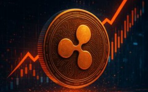XRP持有者面临关键时刻：分析师指出罕见市场格局预示重大变盘