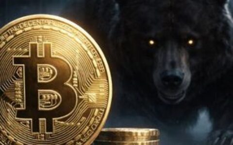 Willy Woo发出严厉警告：BTC熊市趋势在三阶段中持续深化