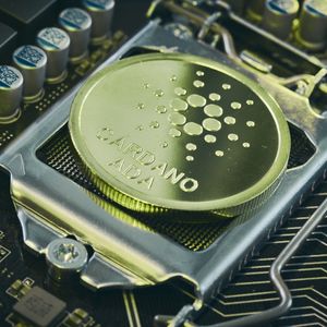 Cardano (ADA)机构投资