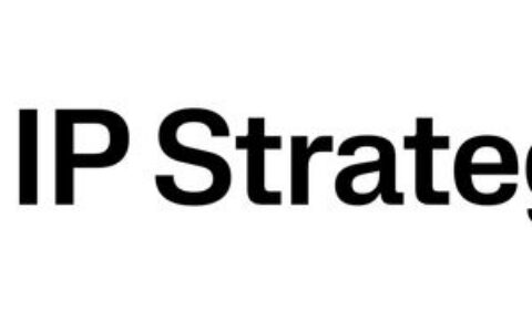 IP Strategy宣布最高100万股股票回购计划，持有5320万$IP代币作为核心储备
