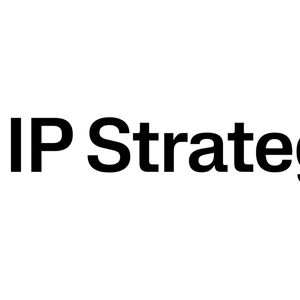 IP Strategy股票回购计划