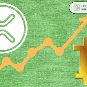 XRP与比特币比较