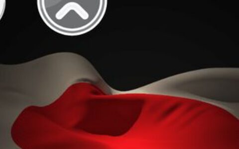 日本SBI集团推出链上债券，投资者可即时获得XRP奖励