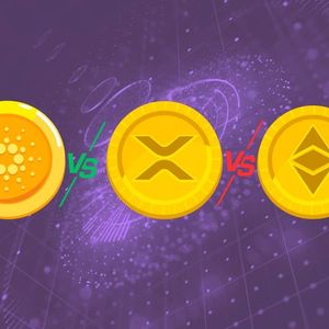 加密货币估值分析