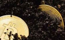 比特币算力强势回归，挖矿难度创数月最大涨幅