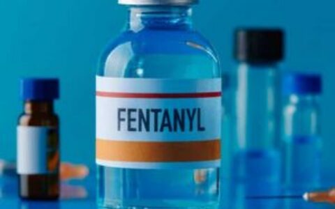 Chainalysis报告：加密货币交易提前数月预测芬太尼供应放缓，为非法药物供应链提供早期信号