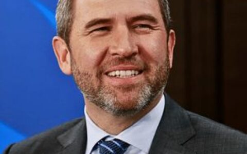 Ripple CEO揭秘：为何自2023年以来公司已投入30亿美元进行收购