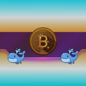 加密货币每日清算数据