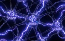 加密货币市场面临3.17亿美元代币解锁潮冲击