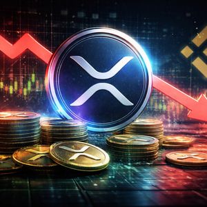 XRP链上数据图表