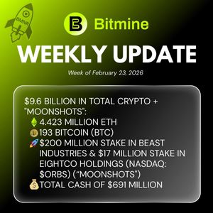 Bitmine ETH Holdings