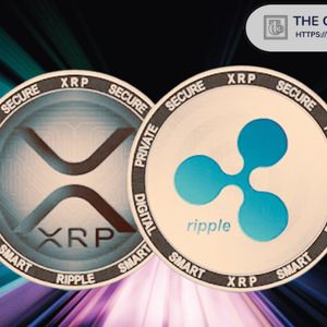 Ripple XRP争议