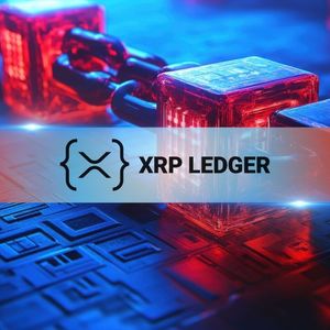 XRPL指标分析