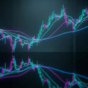 加密货币市场追踪工具