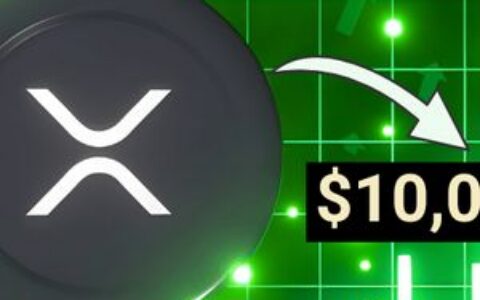 顶级XRP多头表示：目前没有图表支持1万美元或1000美元的XRP价格预测