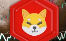 技术指标揭示柴犬币价格走势：分析师解读