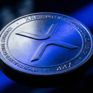 XRP Ledger交易量创纪录