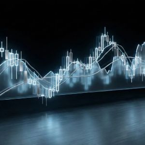 投资组合管理器界面