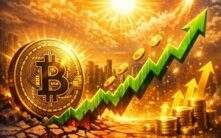 比特币价格或许低迷，但采用率却处于牛市