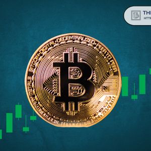 加密货币市场反弹