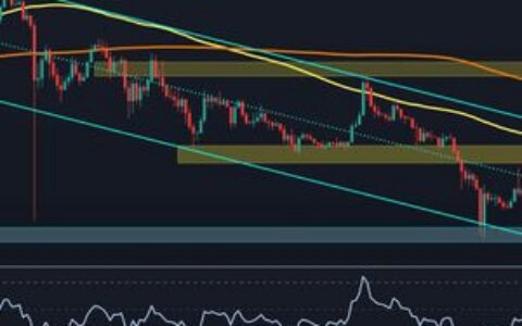 瑞波币价格分析：XRP反弹20%后需关注的关键水平
