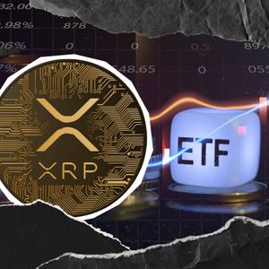 XRP ETF资金流入
