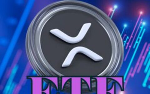 金丝雀资本CEO：XRP ETF资金流入稳定，表现优于比特币和以太坊