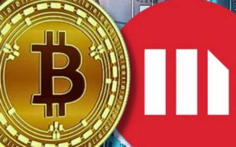 60亿美元做空头寸推动MicroStrategy成美国做空最多大型股，比特币下跌引发担忧