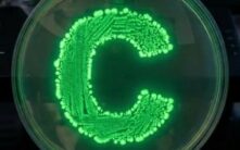 稳定币推动银行变革：机构加密采用加速重塑金融格局