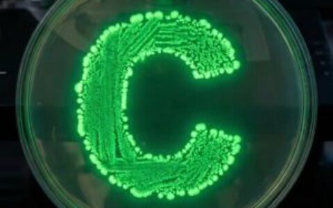 稳定币推动银行变革：机构加密采用加速重塑金融格局