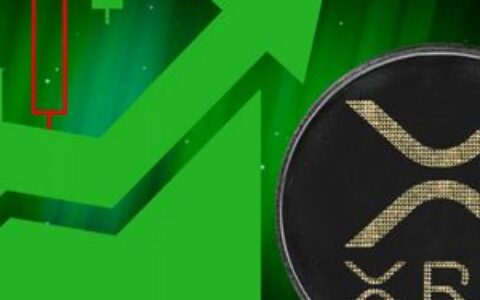 韩国艾略特波浪分析师：XRP的一切正在汇聚成型