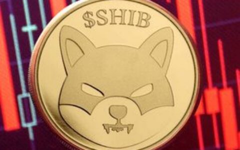 Shiba Inu面临跌出全球加密货币排名前30的风险