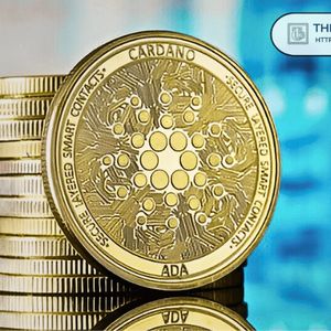 Cardano链上活动分析