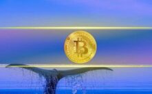 20,000大关在即：比特币鲸鱼钱包接近关键阈值，BTC交易接近68,000美元