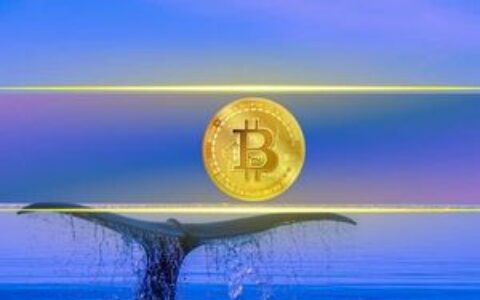 20,000大关在即：比特币鲸鱼钱包接近关键阈值，BTC交易接近68,000美元
