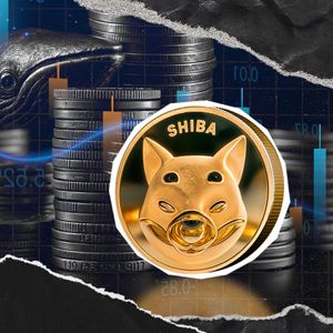 Shiba Inu Whale Activity