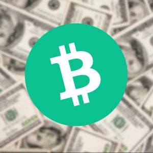 比特币不可变性辩论